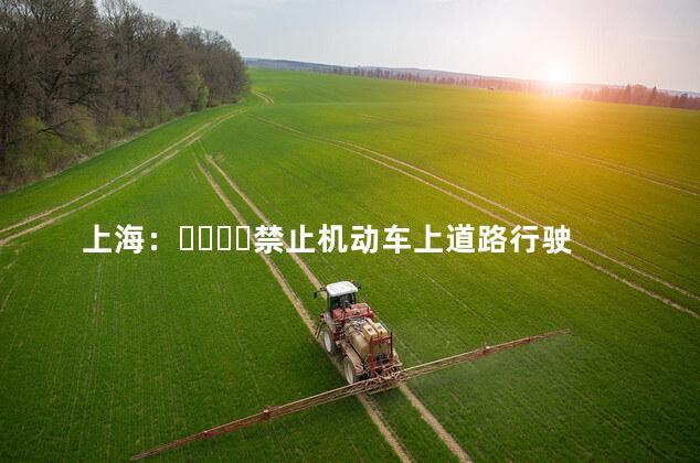 上海：禁止机动车上道路行驶